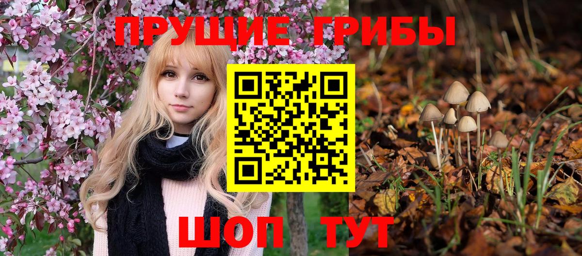 Чайковский  Галлюциногенные грибы прущие грибы  Галлюциногенные грибы ЛСД  Вход с VPN 