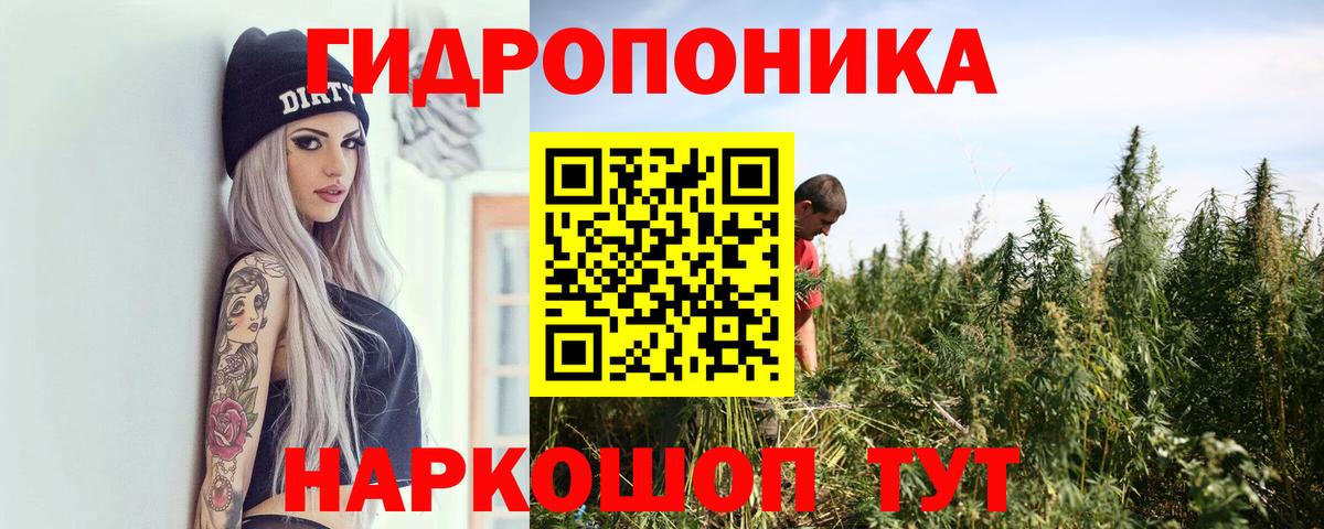 Каннабис MAZAR  Вход с VPN  Бошки Шишки индика  Чайковский  Шишки марихуана OG Kush 